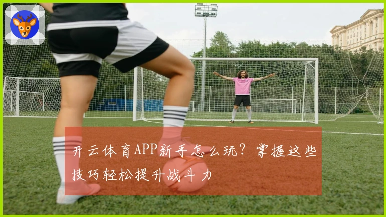 开云体育APP新手怎么玩？掌握这些技巧轻松提升战斗力