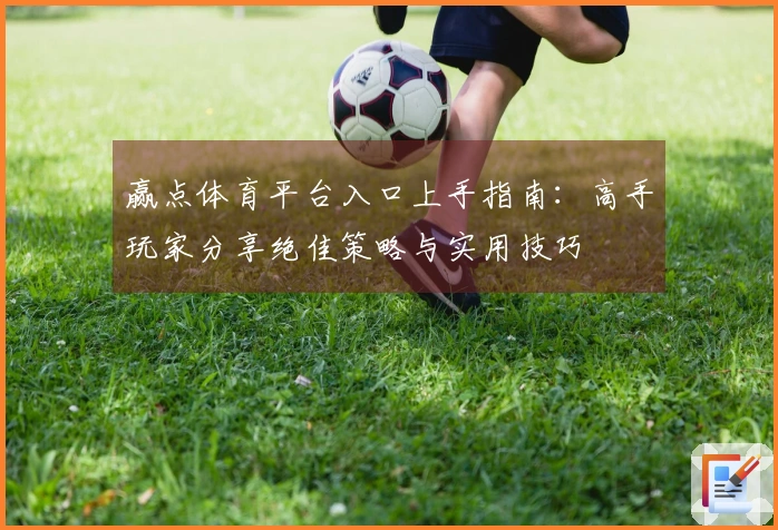 赢点体育平台入口上手指南：高手玩家分享绝佳策略与实用技巧