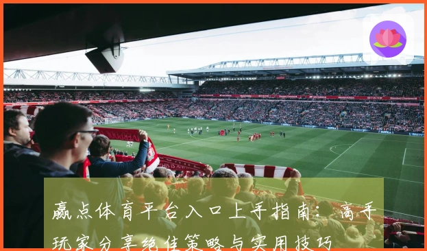赢点体育平台入口上手指南：高手玩家分享绝佳策略与实用技巧