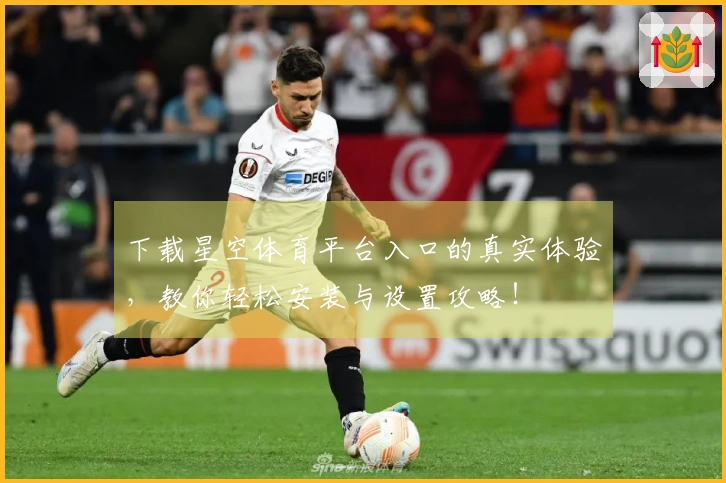 下载星空体育平台入口的真实体验，教你轻松安装与设置攻略！